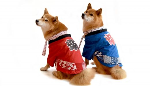 お休みのお知らせ