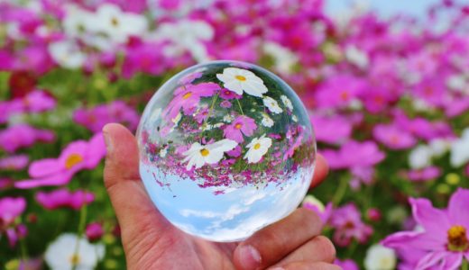 検定試験が終わりました