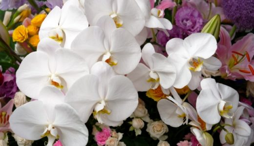 校長が永眠いたしました