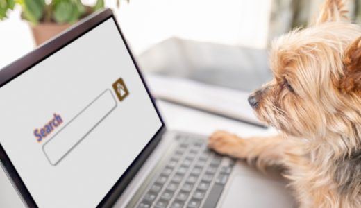 プレテストは30日まで！